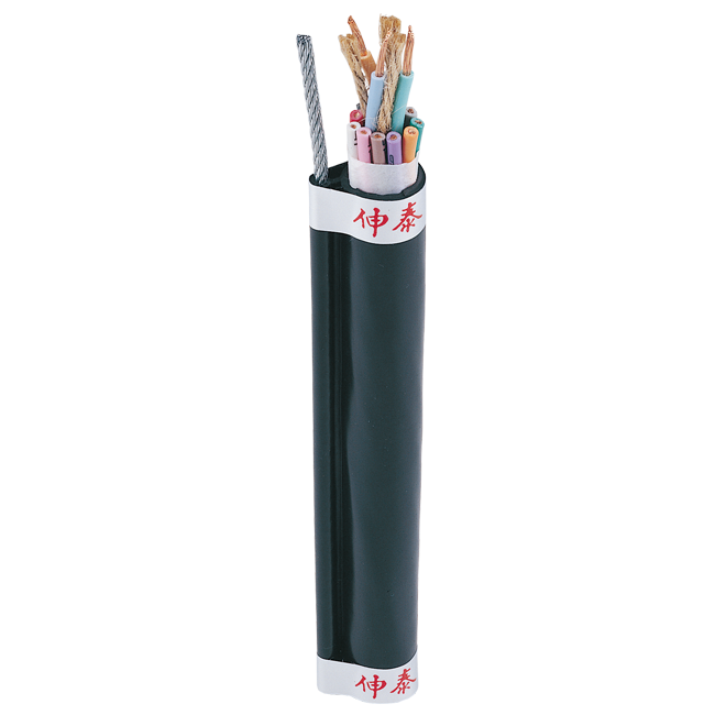 Pendant Cable
