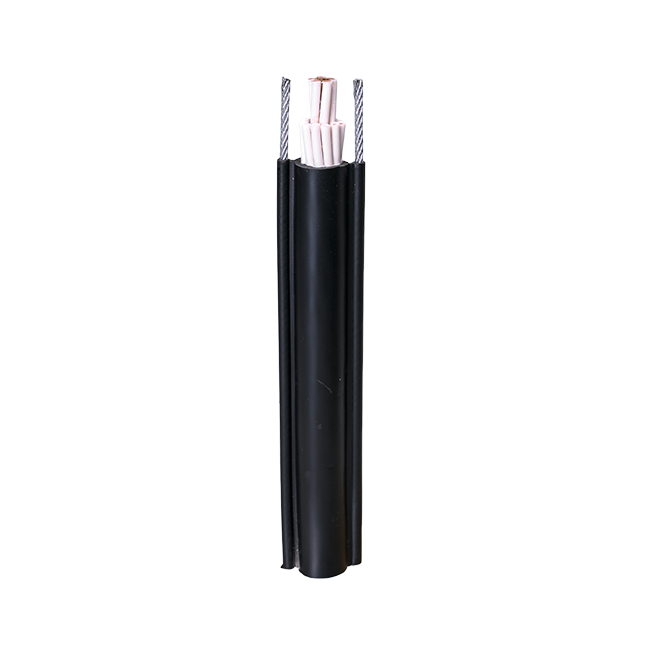 Pendant Cable
